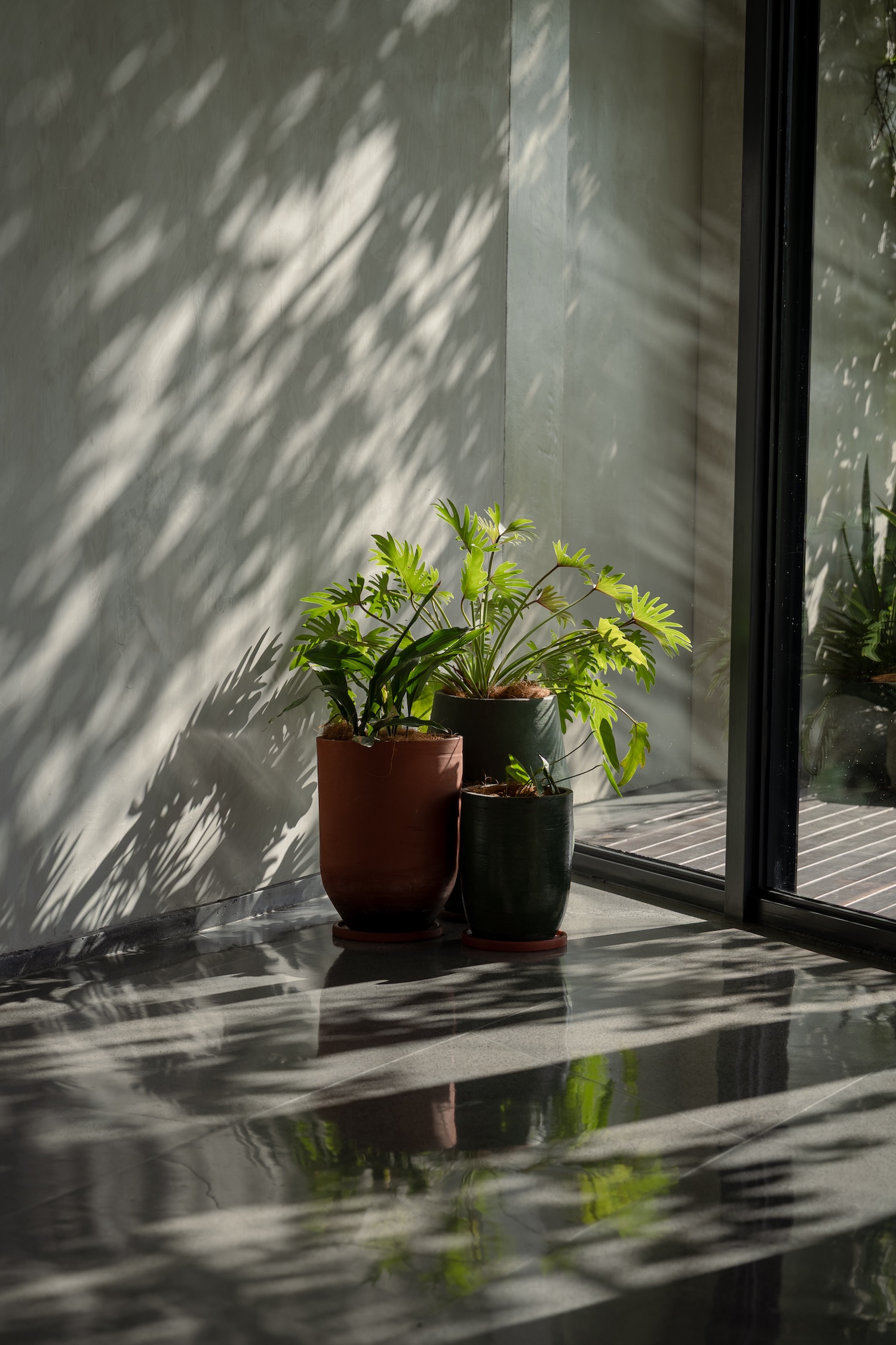 Why Locavore Group Chose Checkly for Their HR